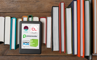 Online books for beginners 