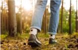 Citizen Science